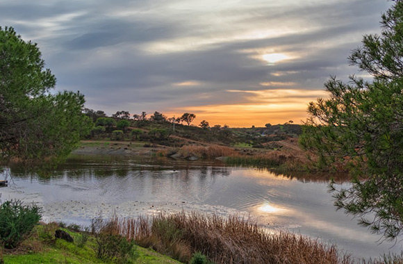 成都市西畔设备净化设备科技有限公司应急预