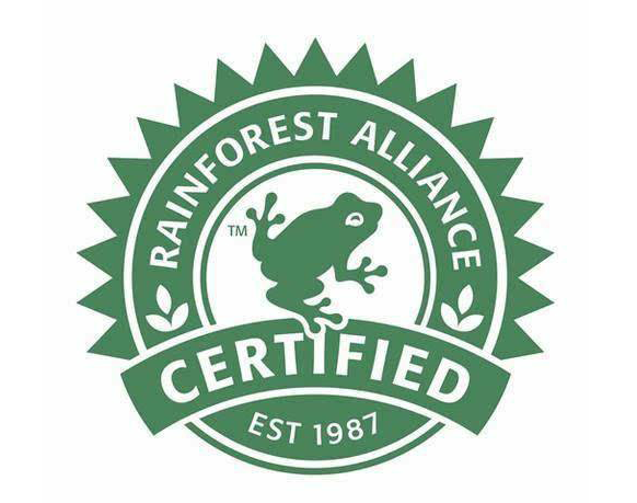 雨林认证代办服务