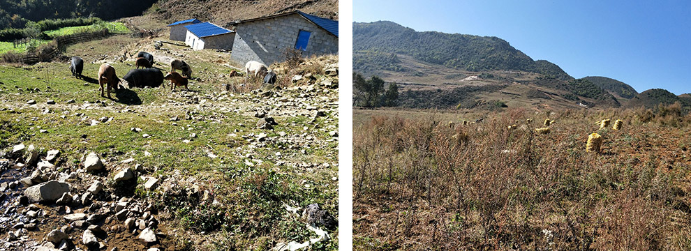 普格县生态原产地