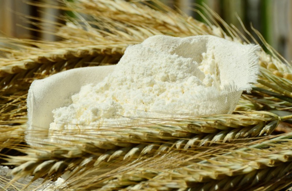 四川秦蓉食品有限责任公司环评报告表