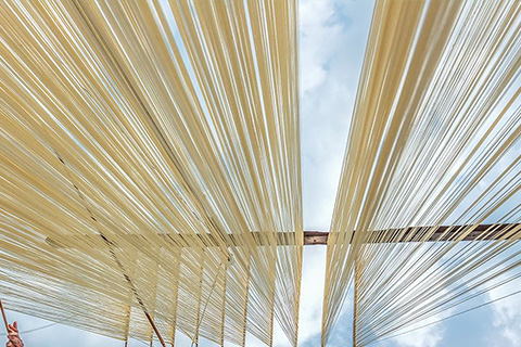 攀枝花市面缘面条加工厂