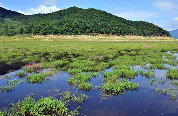 成都市四信包装机械有限公司环保验收