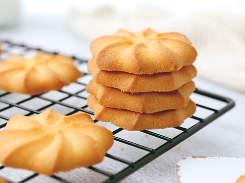 成都市莱普敦商贸有限公司