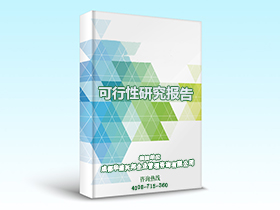 可行性研究报告